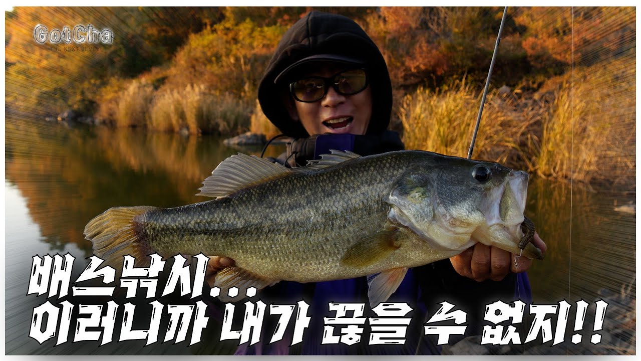 멸종 위기의 배스?? 포기하지 마세요 !!!feat. 박성완 )