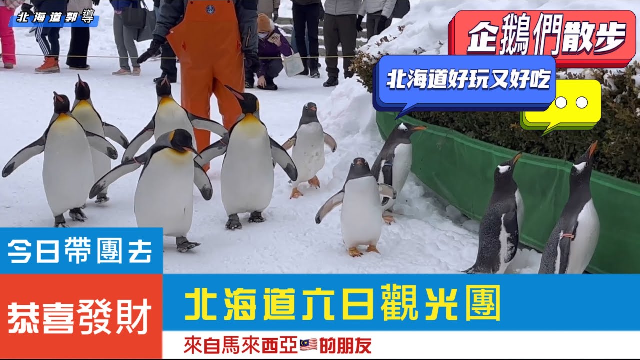 這次帶團去！北海道六天觀光、歡迎來自馬來西亞的華人朋友們，在日本撈魚生，我也是第一次撈魚生😋