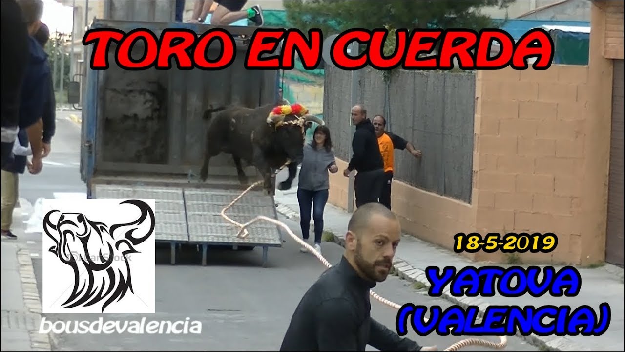 YATOVA (V) 2019 - TOROS EN CUERDA Y BUENAS CARRERAS 18-5-2019