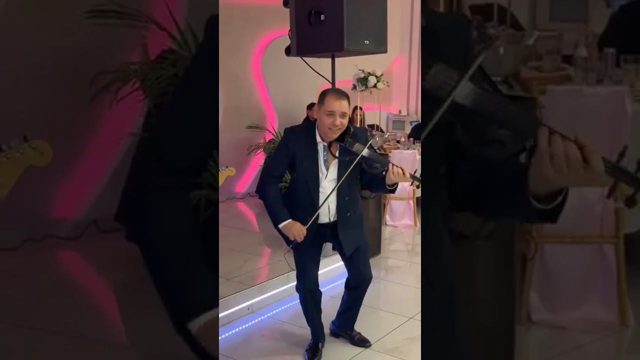 Dragan Gugi 🎻🤴Momir Jovanovic 🎻🤴Dalibor Pariz 🎹🤴