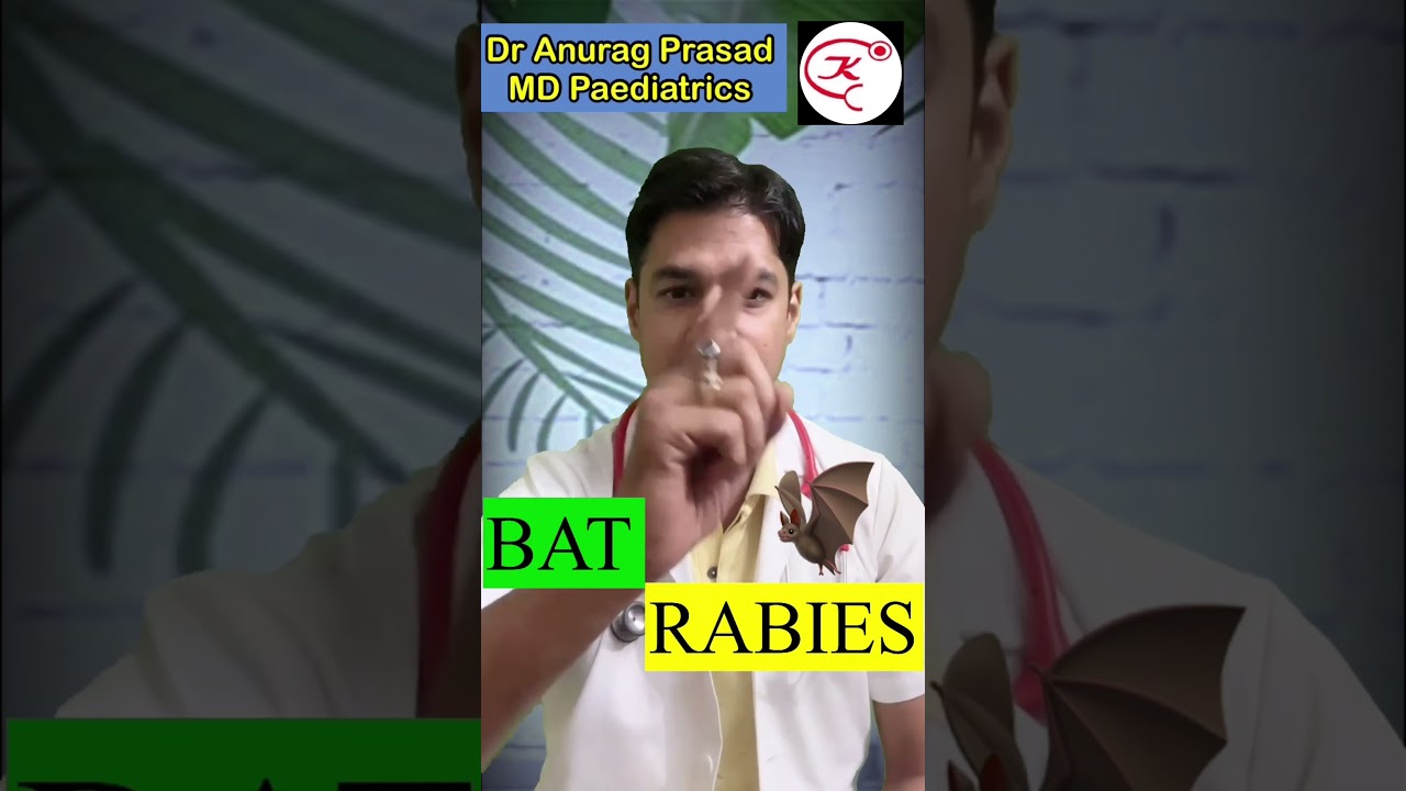 Bat & Rabies Vaccine By Dr Anurag Prasad | चमगादड़ काटने पर रेबीज #shorts