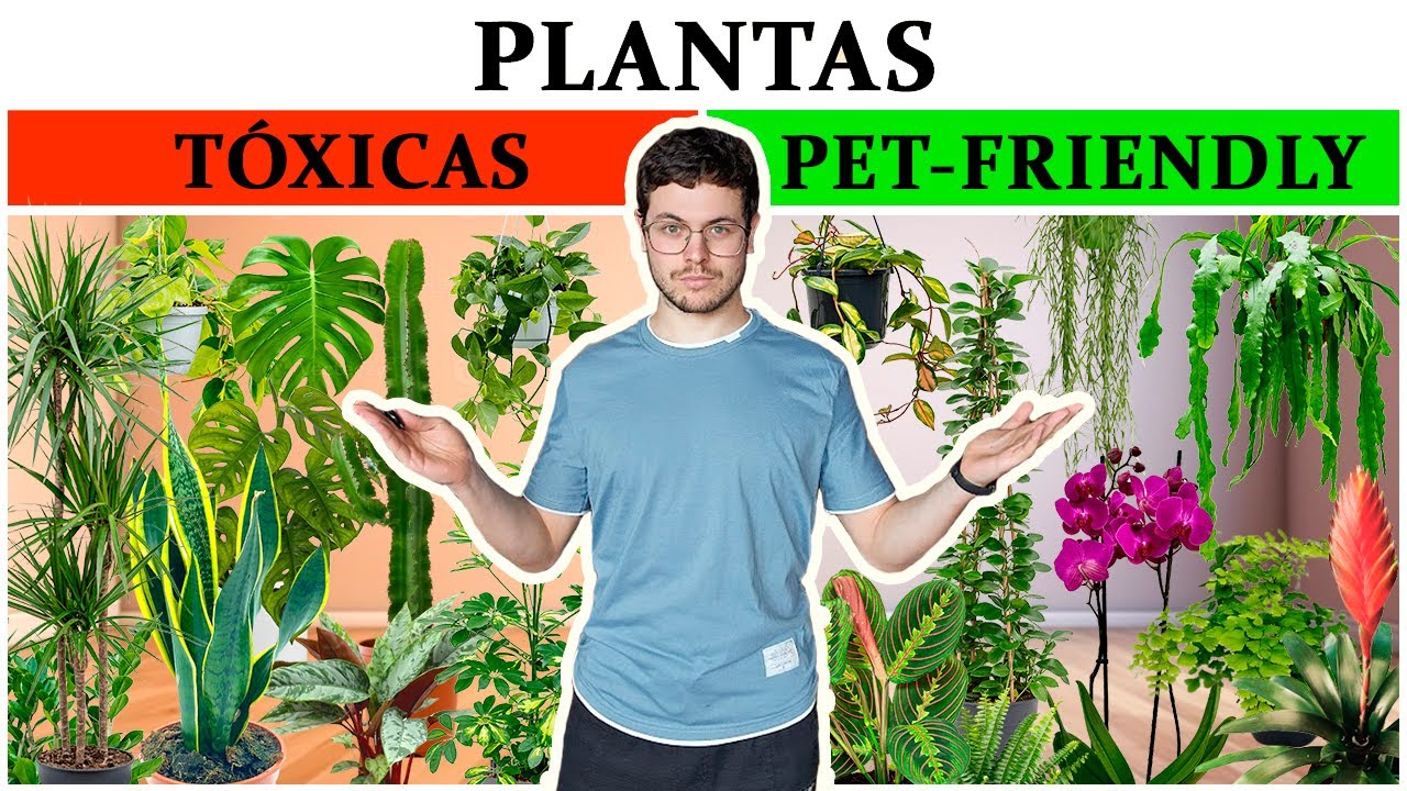 25 Plantas seguras vs. 25 Plantas tóxicas para mascotas