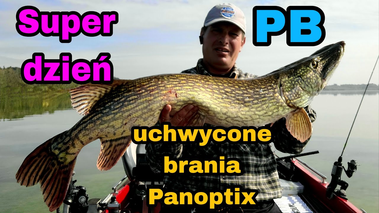 Mega dzień - PB szczupaka | sandacze | uchwycone brania panoptix | #VerticalJigging