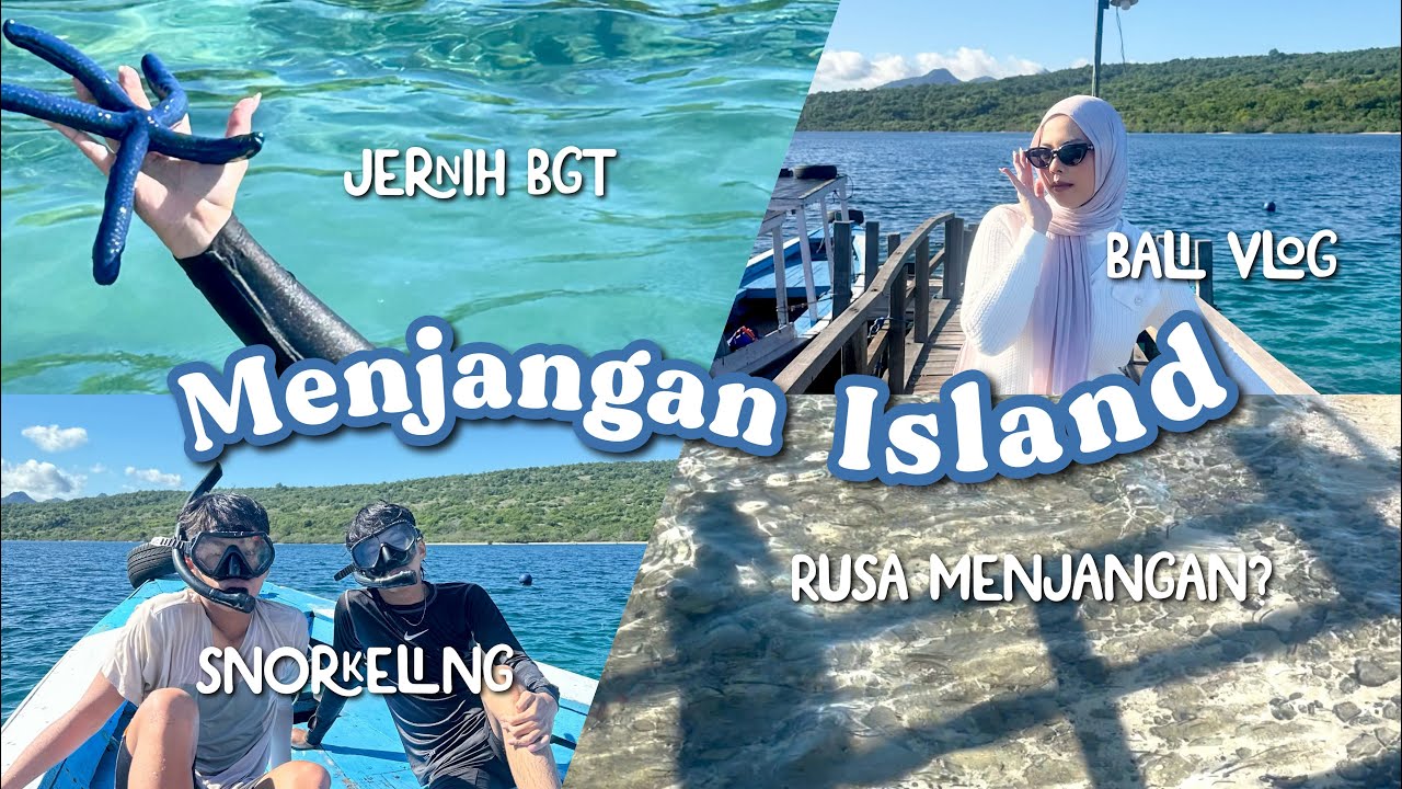 𝐄𝐱𝐩𝐥𝐨𝐫𝐞 𝐁𝐚𝐥𝐢 : 𝐓𝐫𝐢𝐩 𝐭𝐨 𝐌𝐞𝐧𝐣𝐚𝐧𝐠𝐚𝐧 𝐈𝐬𝐥𝐚𝐧𝐝 || Snorkeling, Rusa Menjangan, Bali vlog 🏝️✨