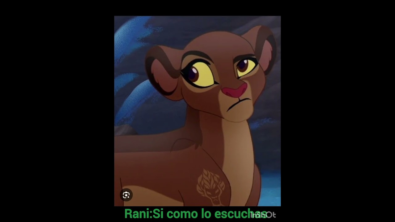 Kion x Rani 