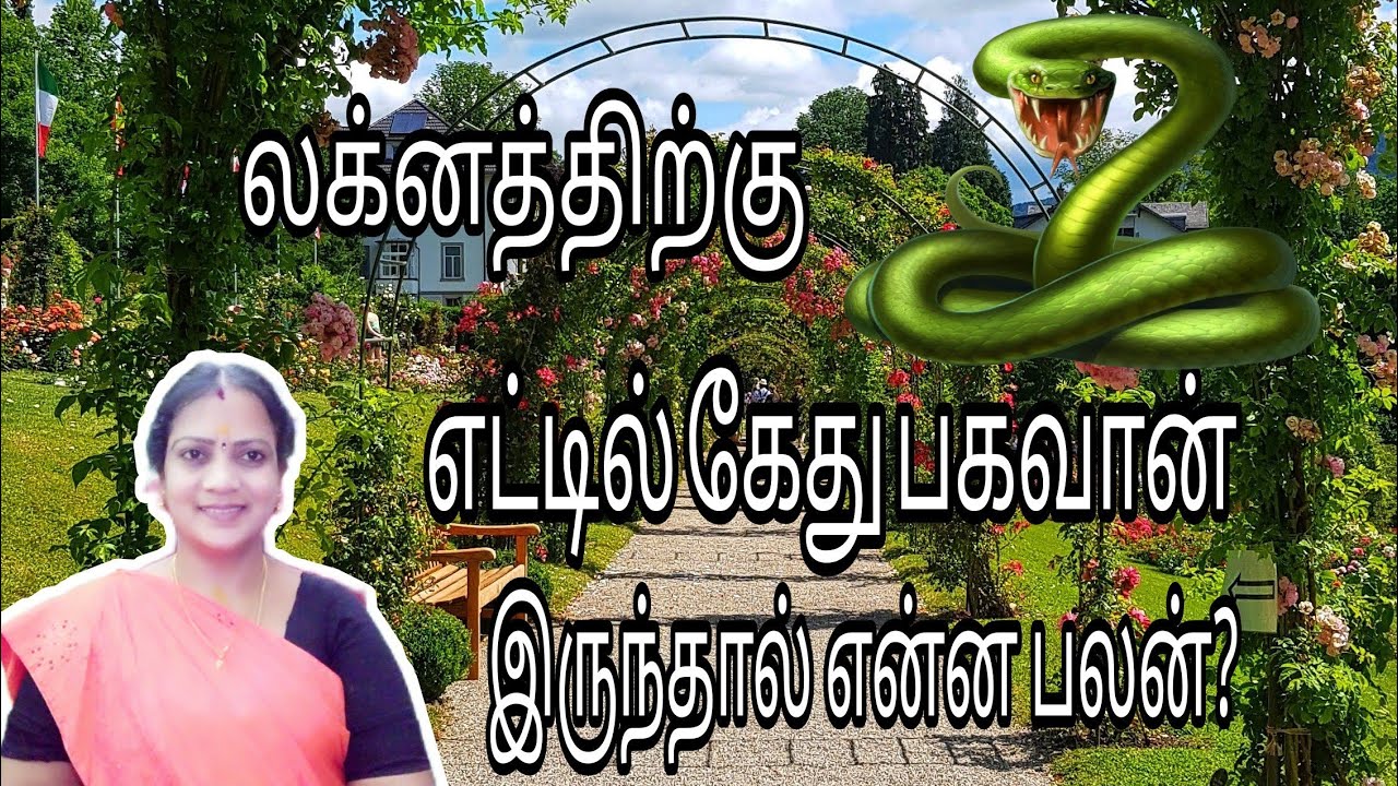 லக்னத்திற்கு எட்டில் கேது இருந்தால் என்ன பலன் ? || kethu at 8th house ||