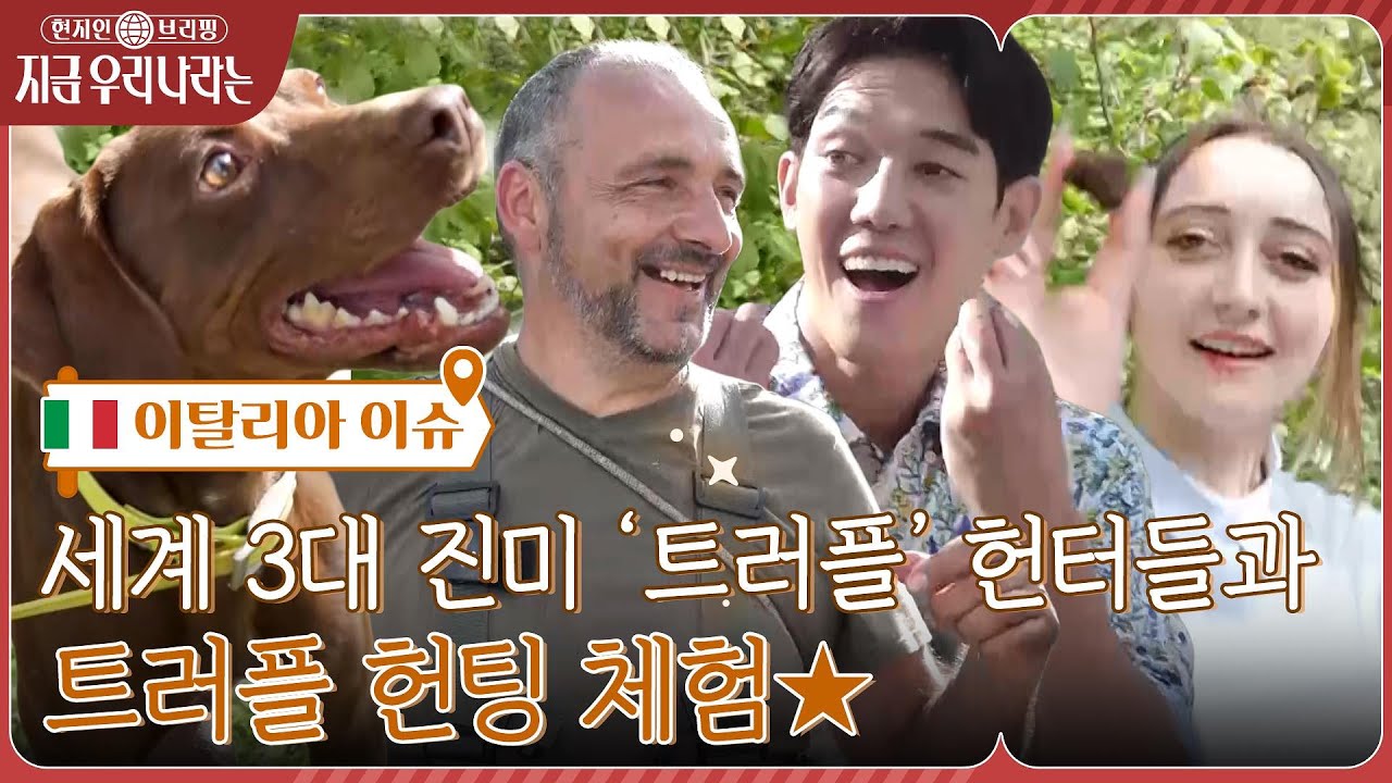 트러플 찾는 개?? 트러플 작다고 냅다 먹는 개..부럽...💦 트러플 헌팅으로 이색 체험!현지인브리핑지금우리나라는 EP.2 | tvN 221013 방송