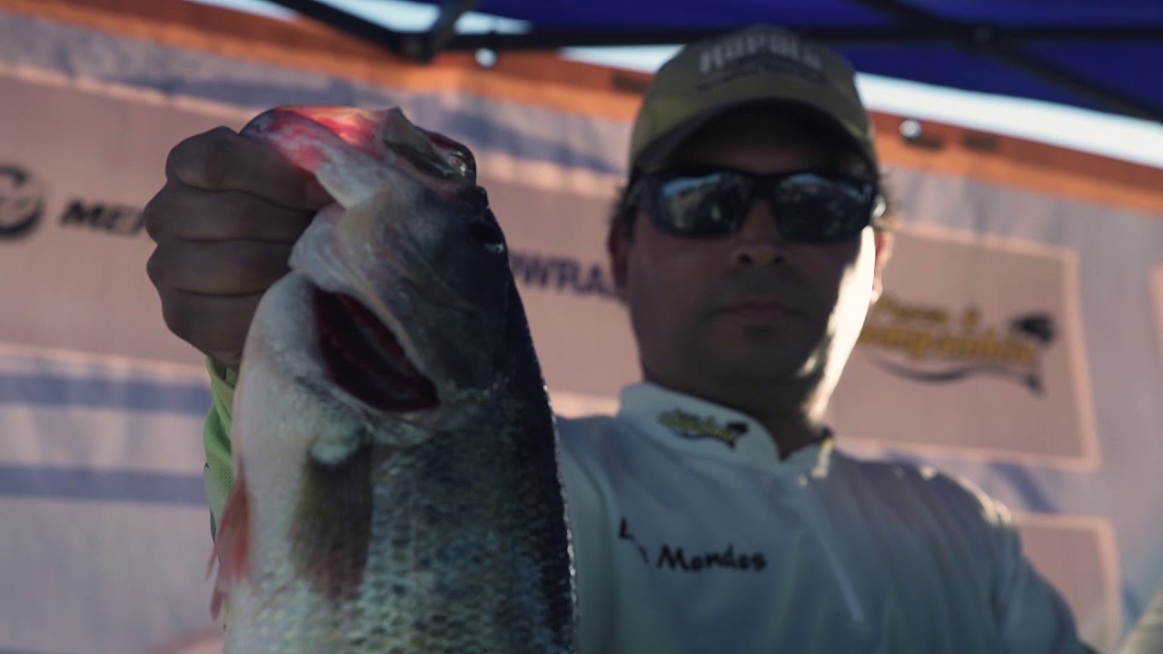 Bass Nation Portugal | Resumo - 2017