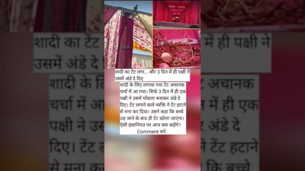 modi ji motivation #motivation #shorts #modiji #viralnews #apnews #yogifacts #trending #explore