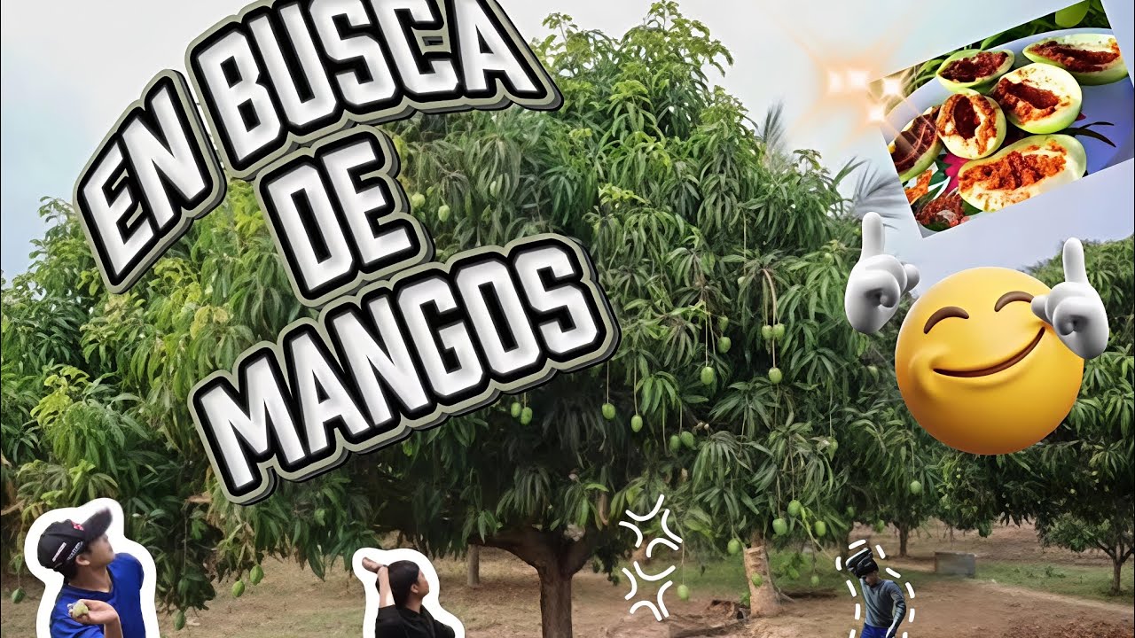💥Comiendo mango 😋🥭 💥