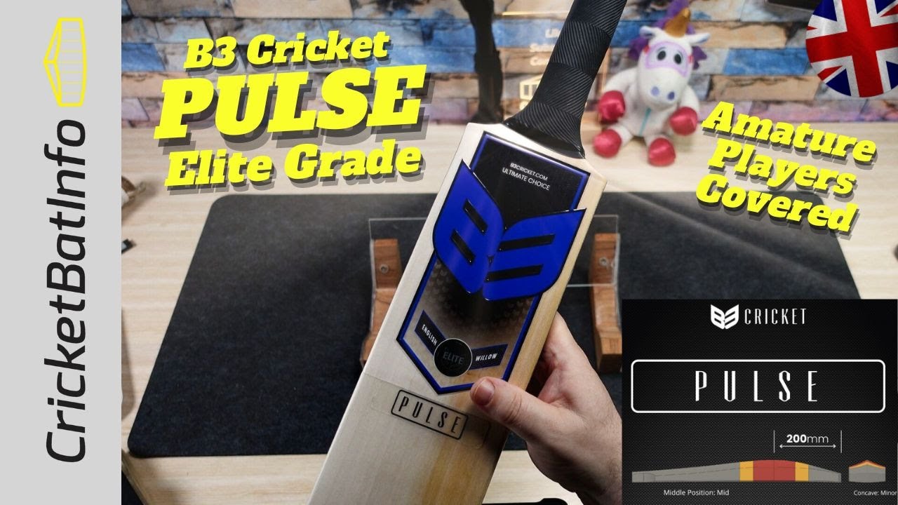 Обзор биты для крикета B3 Cricket Pulse