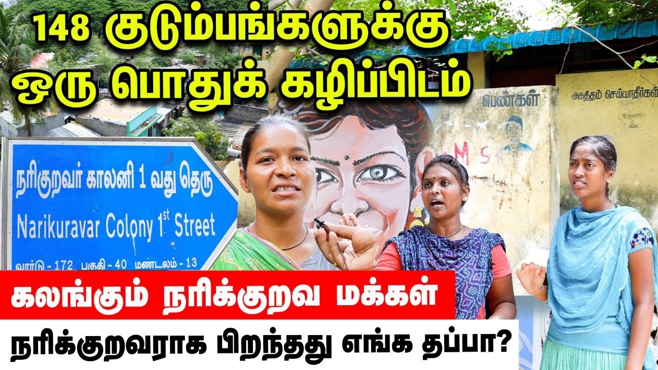 Chennai நரிக்குறவர் காலனி மக்களின் அவல நிலை! | A Story of Narikuravar Colony People