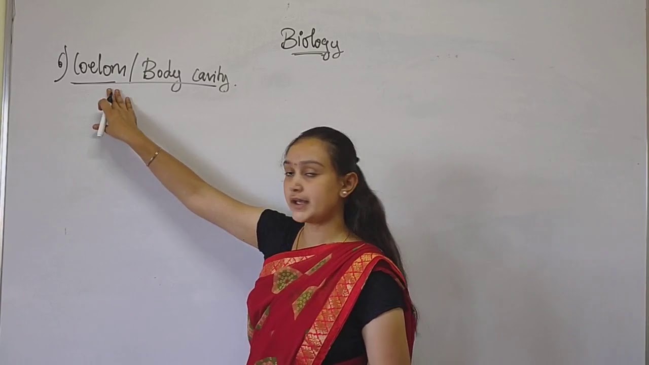I PUC SCIENCE-BIOLOGY-COELOM AND GERM LAYER
