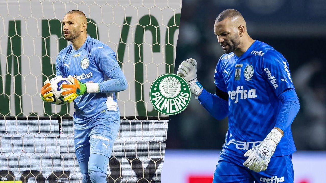 MELHORES DEFESAS - WEVERTON PALMEIRAS 2025