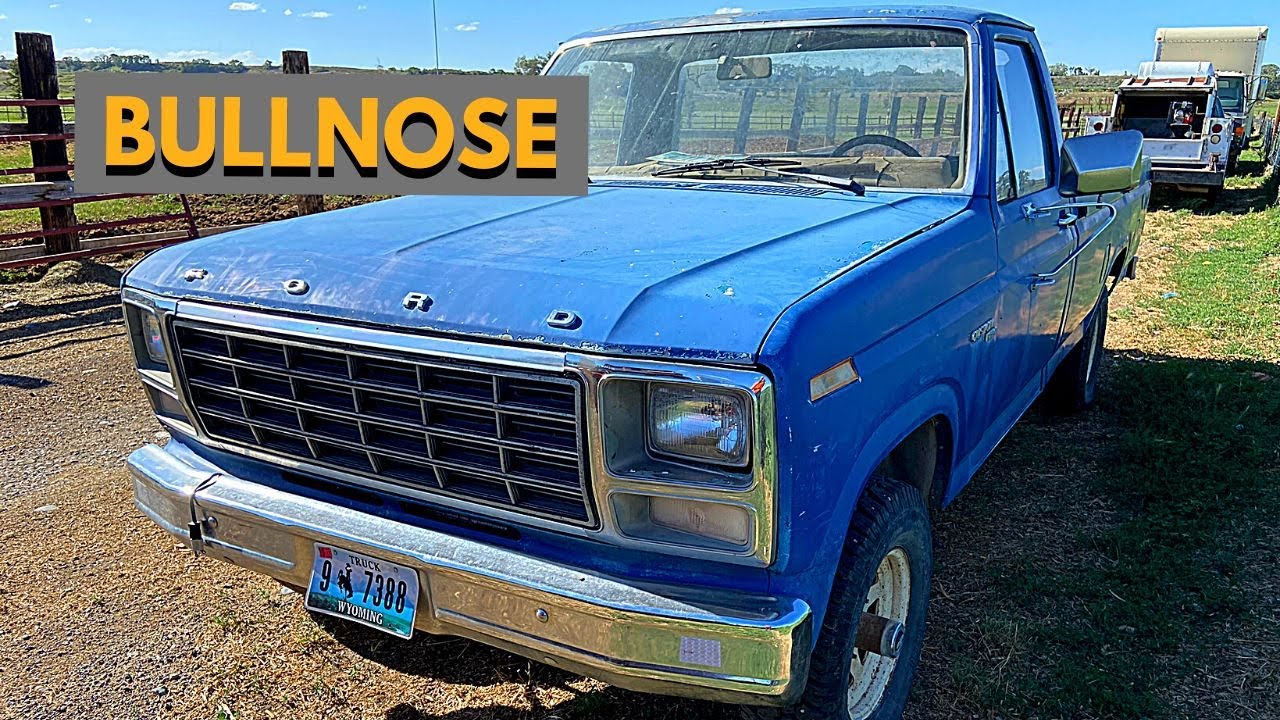 Bullnose F150 1980 года