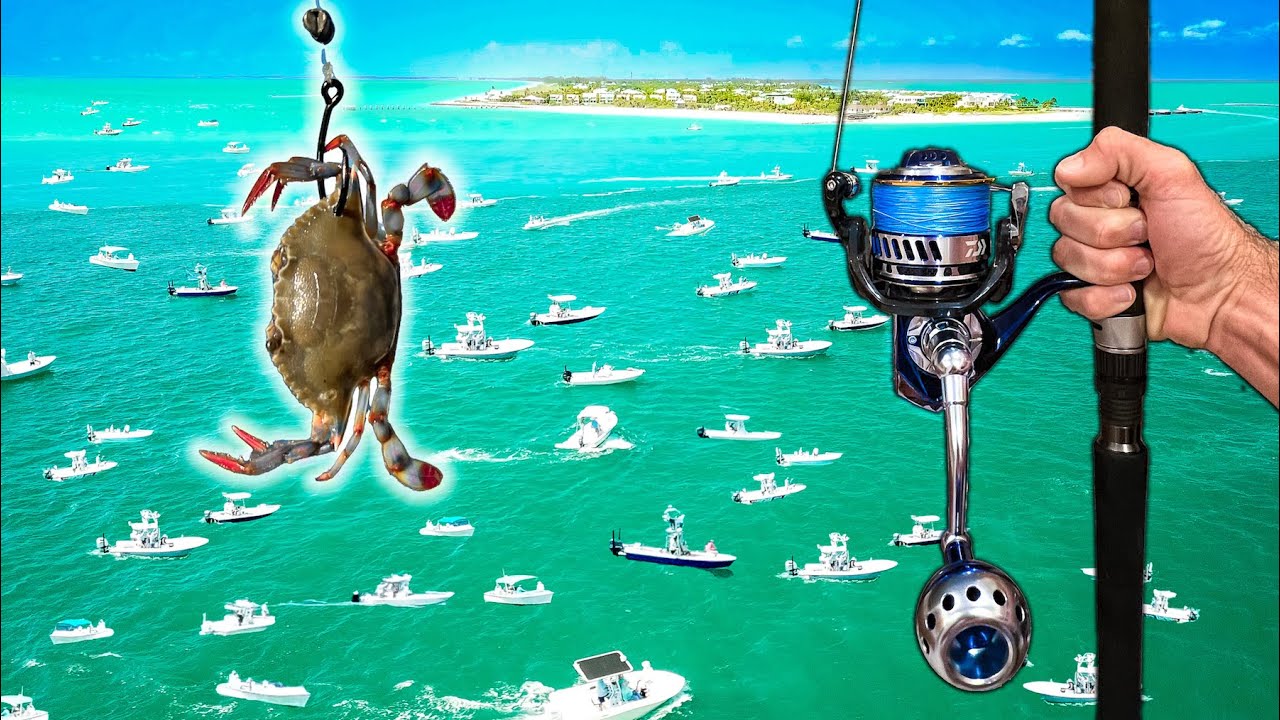Florida's Most Chaotic Fishery