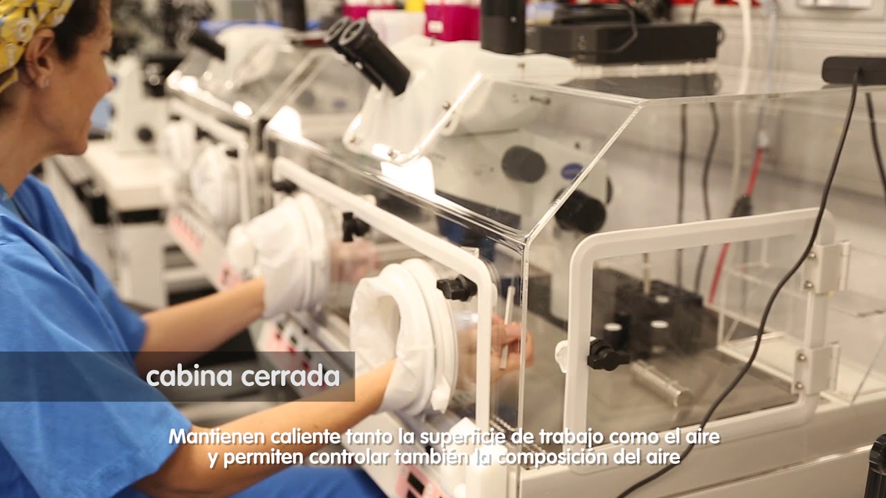 Visita virtual a un laboratorio FIV de IVI