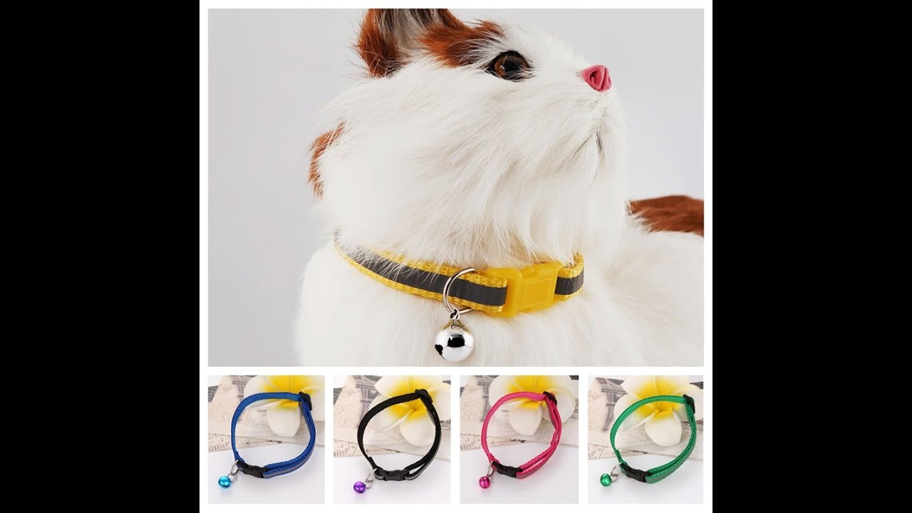 Cat Collars with Bells &ndash; Adjustable