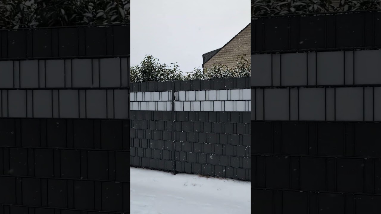 snow fall in Germany 🥶🥶🥶❄️❄️🌨️