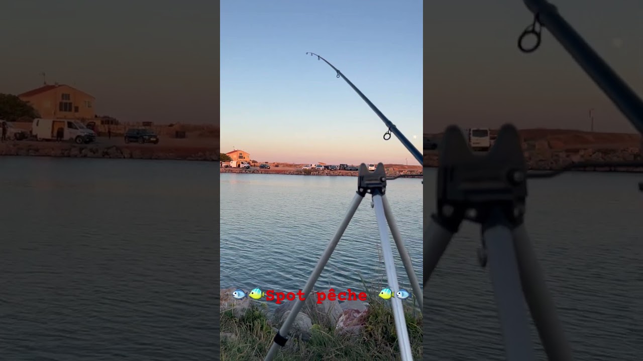 🐠 Allons à la pêche 🐟 