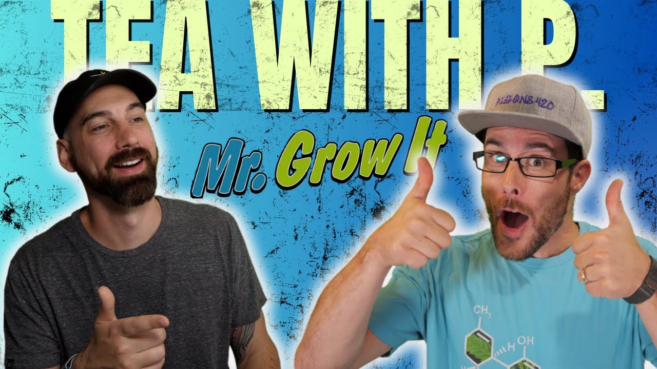Mr. Grow It | The Real Mr. Grow It? | Tea w/ P | Ep.1
