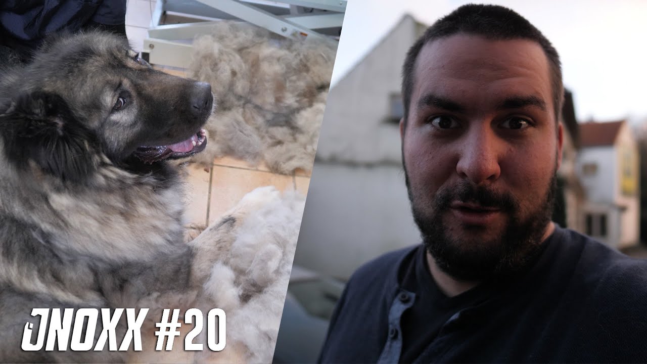 jNoxx vloglife #20 - Updates & Beer kammen