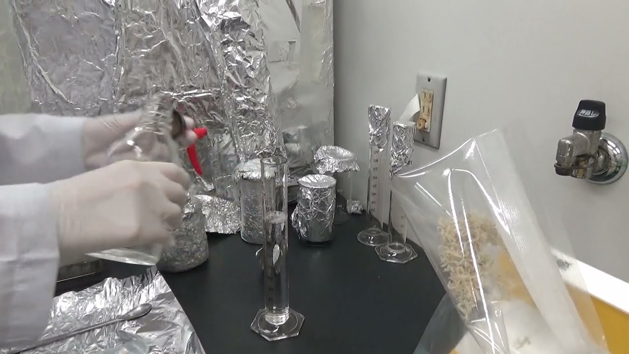 業務紹介21-5　食品中の微生物を調べる