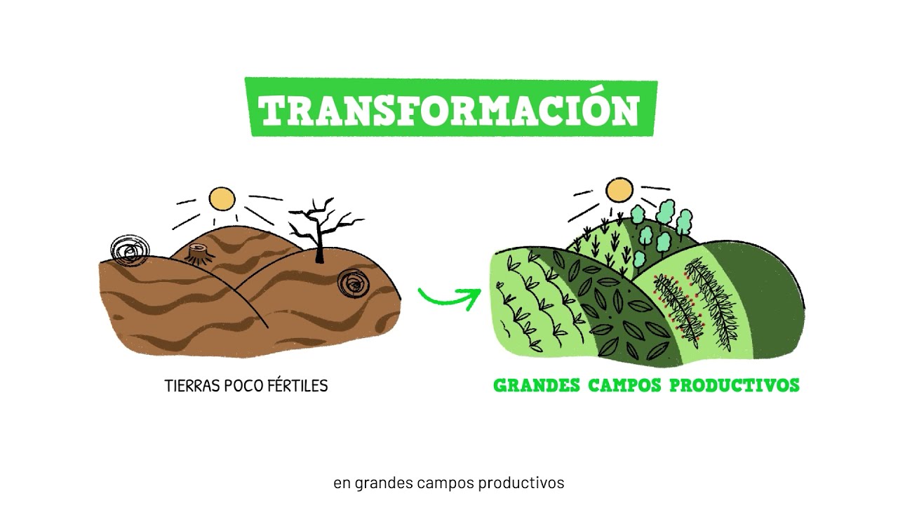 Agroexportación en el Perú