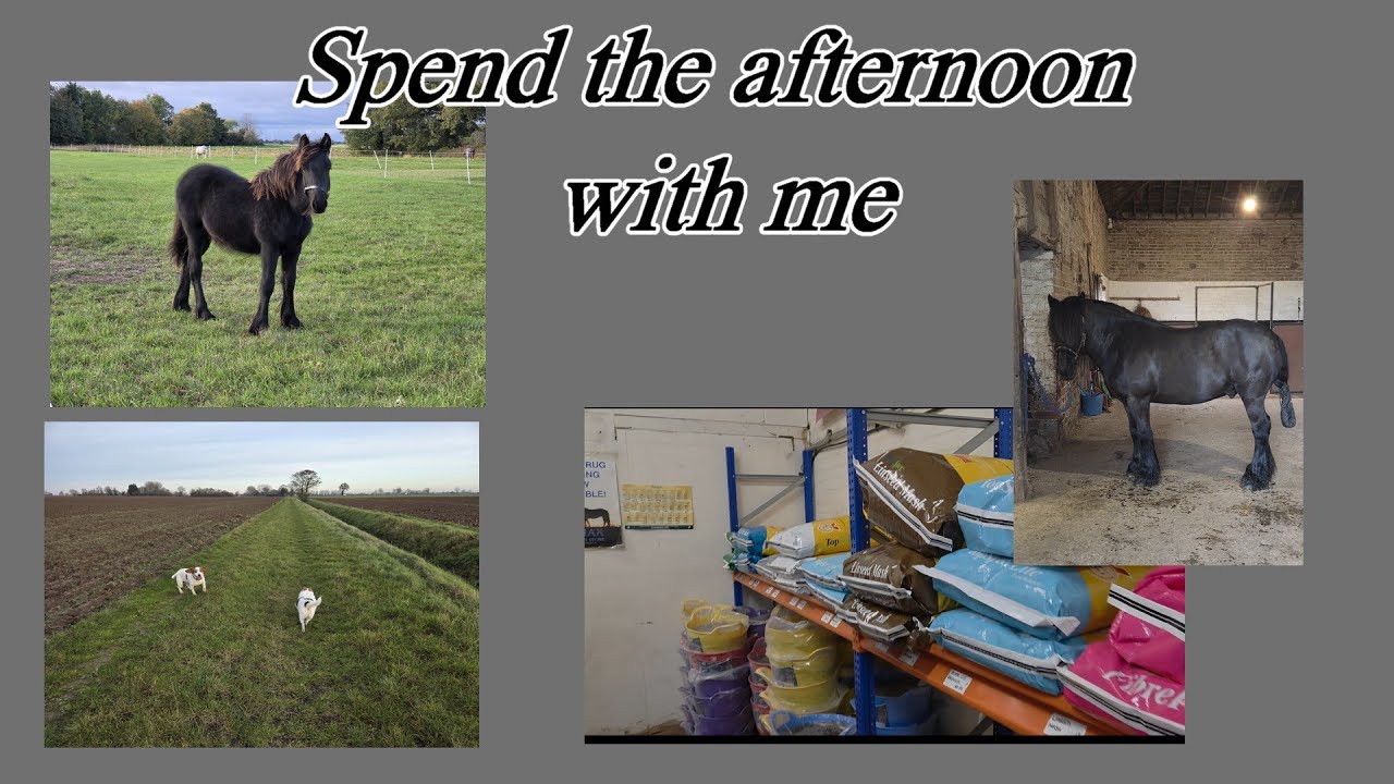 Spend an afternoon with me