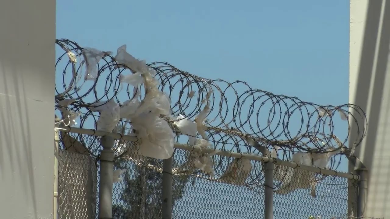 FILE VO CTF SOLEDAD PRISON.mp4