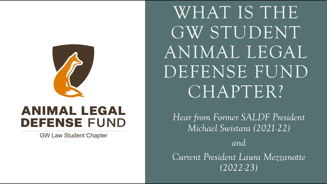 Learn about GW's Student Animal Legal Defense Fund Chapter!
