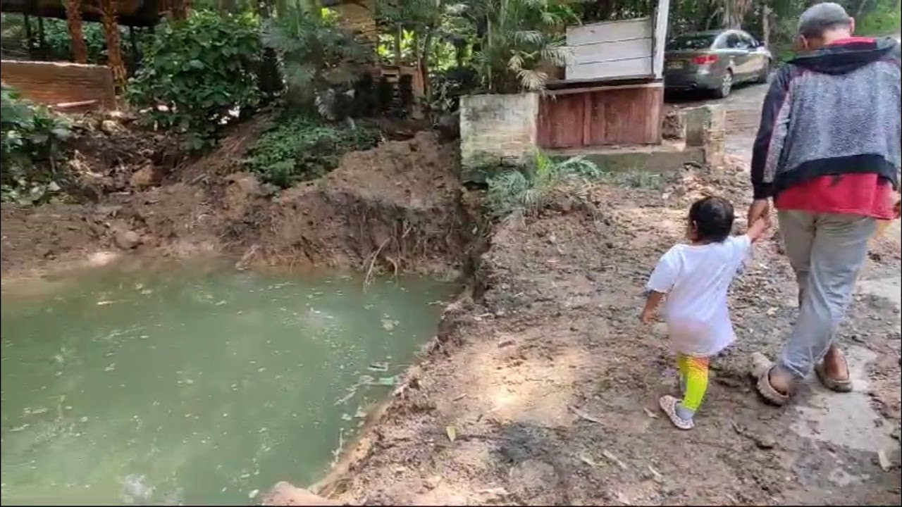 En los cerros de Cali temen por sus suelos | El País Cali