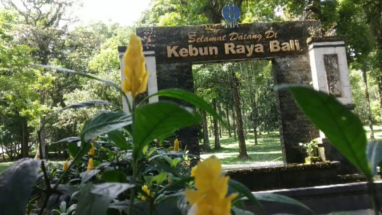 Bali Botanic Garden / Kebun Raya Bali