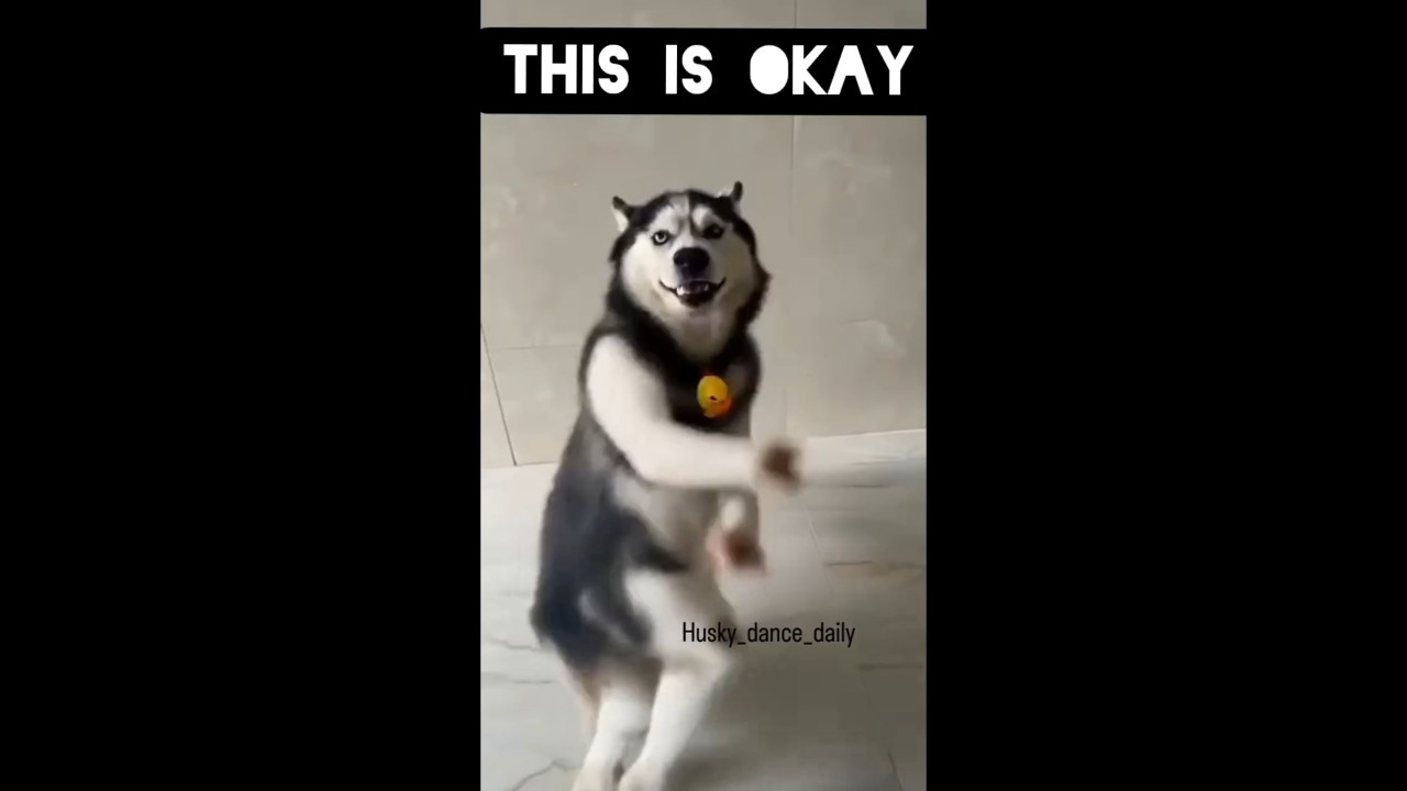 🎬🤣🕺🕺Ramstk Family Dance Part 2 