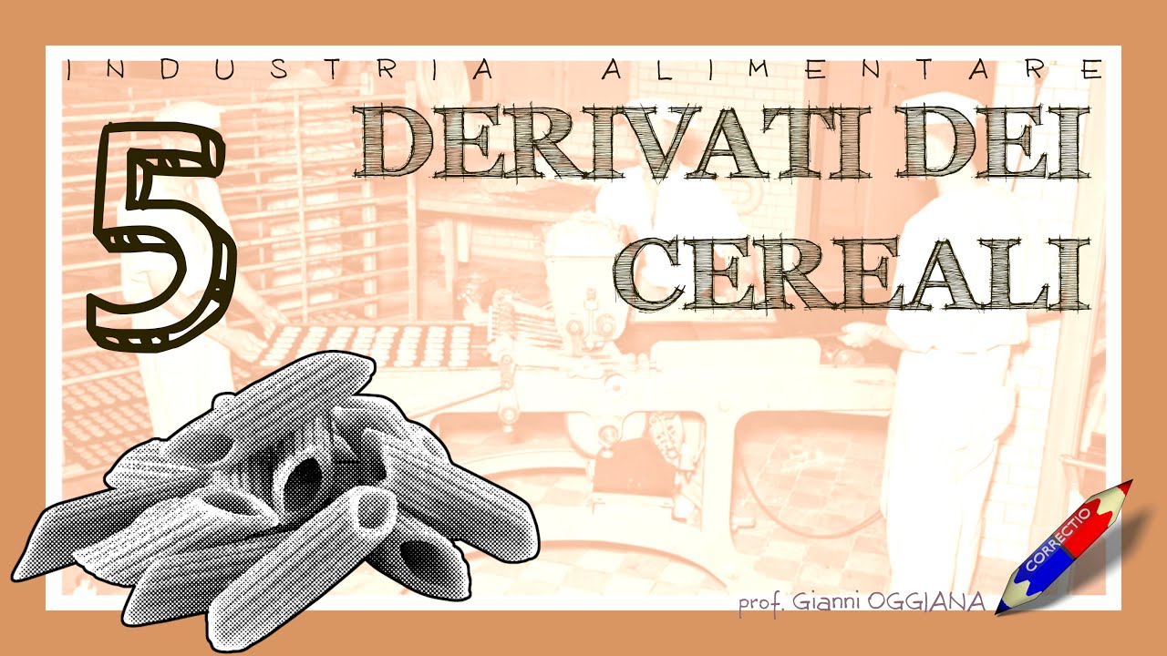 Industria alimentare: derivati dei cereali