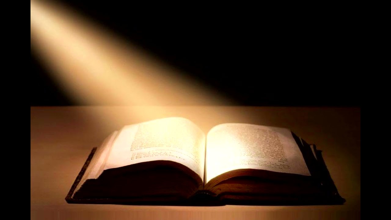 Tak kończy się podcieranie Biblią  PASTOLEKTOR REUPLOAD