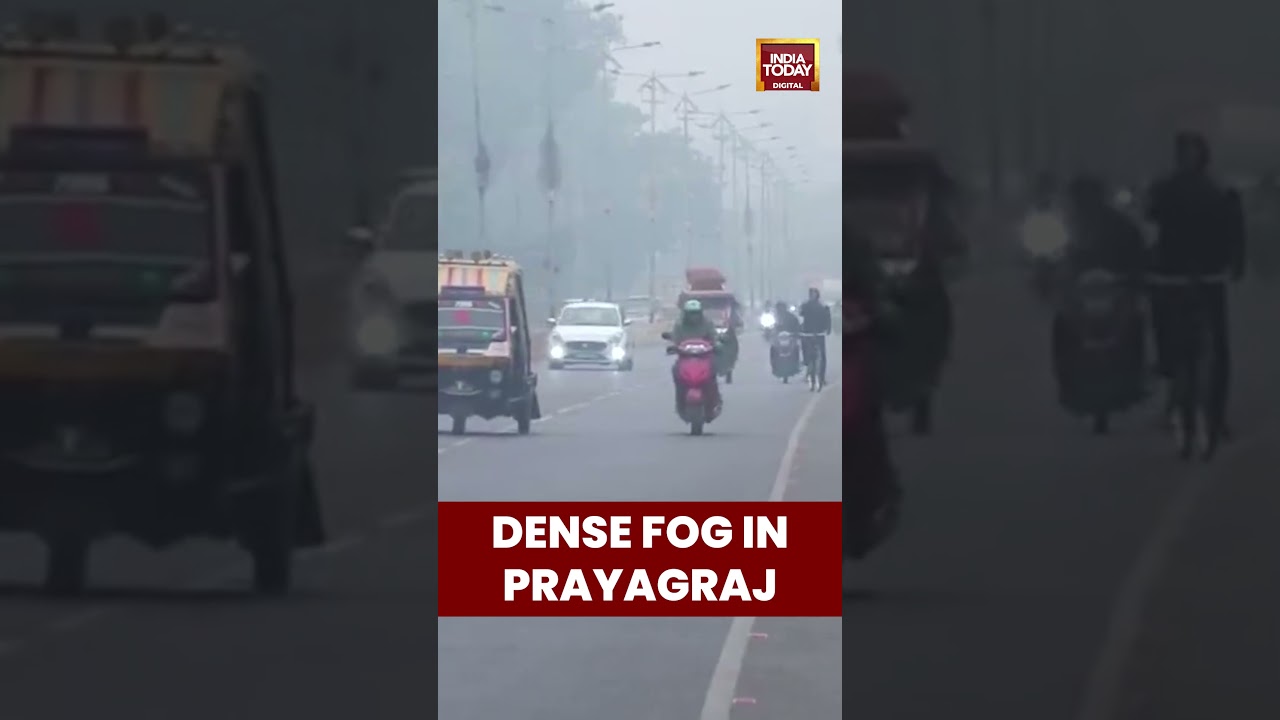 Prayagraj Faces #densefog & Cold Day | Minimum Temperature 11&deg;C Forecast
