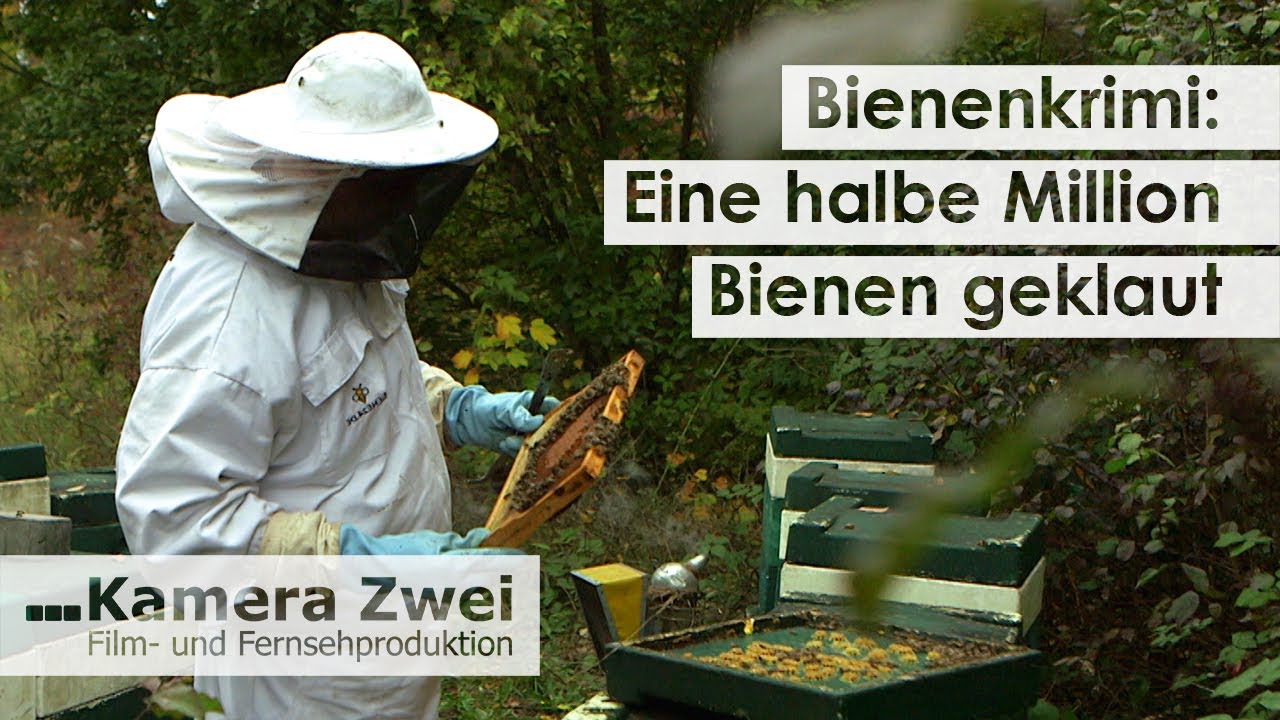 Reingelegt: Imker stellt Honig-Dieb Falle | Kamera Zwei