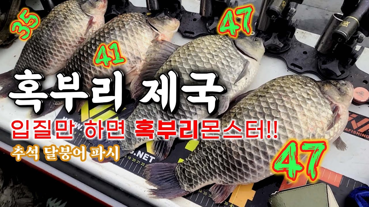 혹부리의 왕국!!