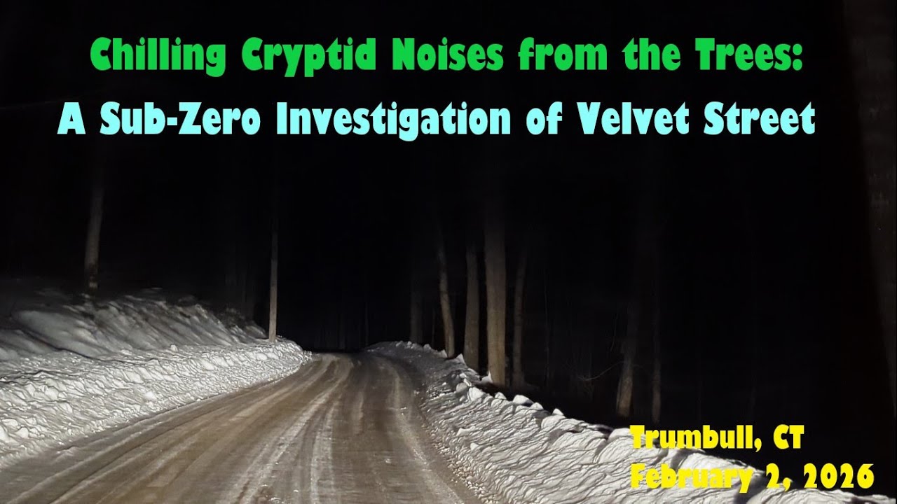 Chilling Cryptid Noises from the Trees: A Sub-Zero Investigation of Velvet Street