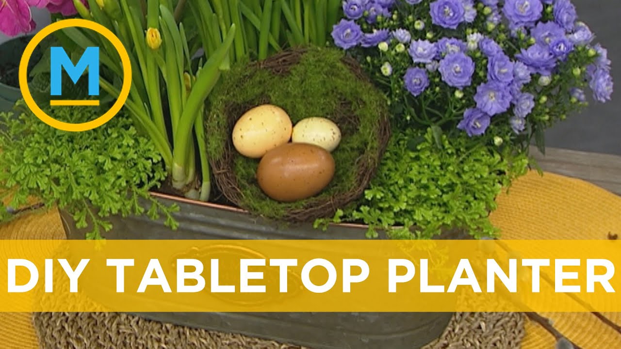 This tabletop planter is easier to make than you think | Your Morning