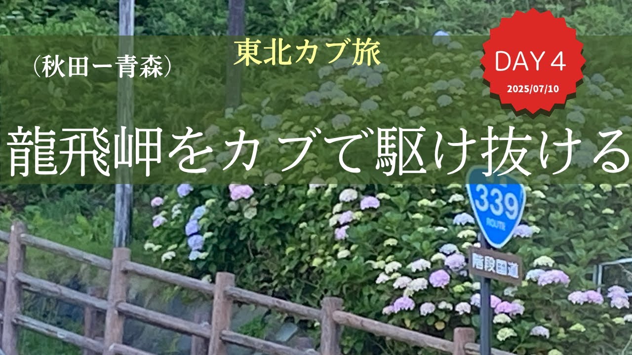 【スーパーカブ110プロ】東北カブ旅DAY4（秋田ー青森）