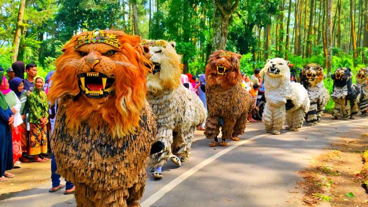 🔴LIVE | kirab can macanan singo raung cilik di undang acara haflatul imtihan DI babatan tlogosari