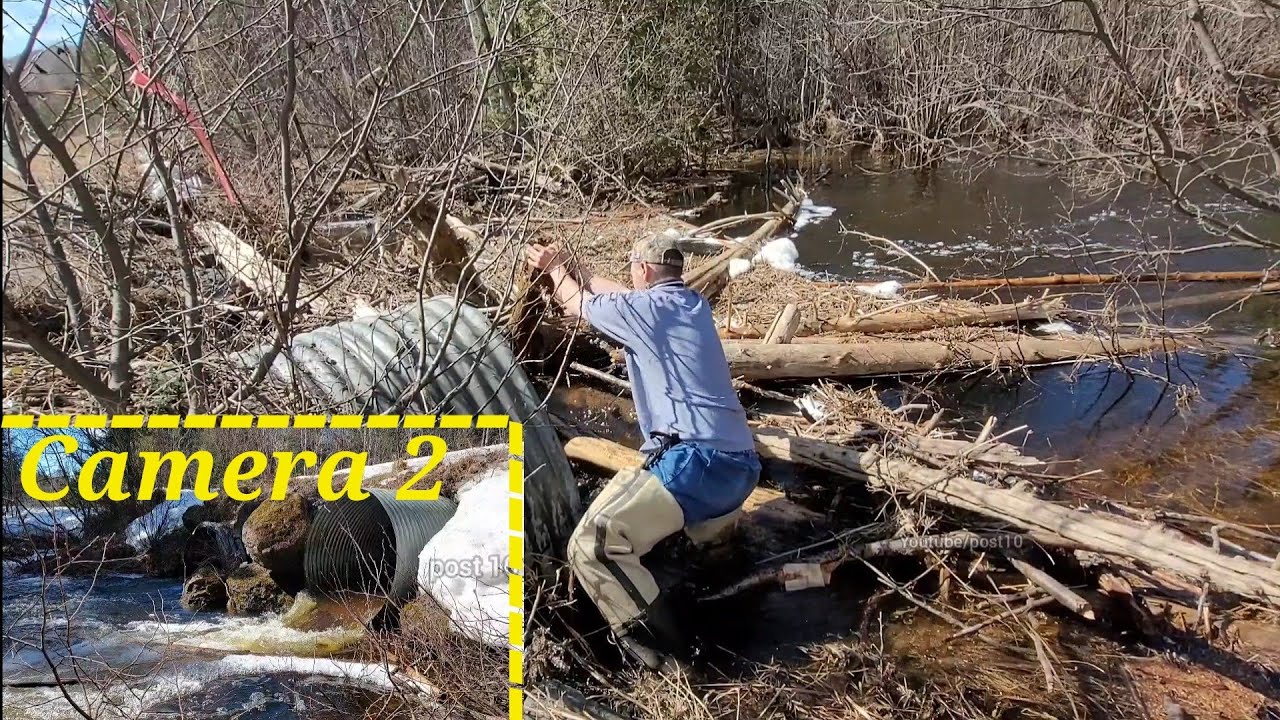 Dismantling Log Jam. Unclogging Culvert