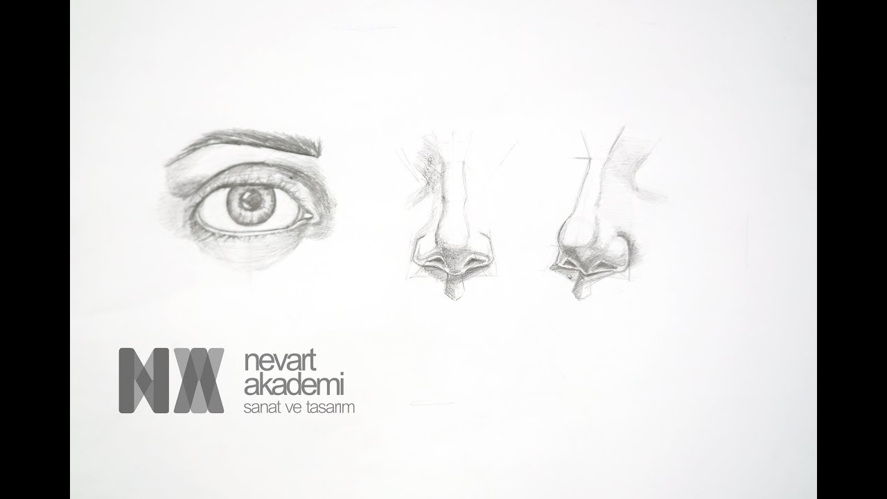 NEVART AKADEMİ | Anatomi Ders-3 Göz ve Burun Çizimi