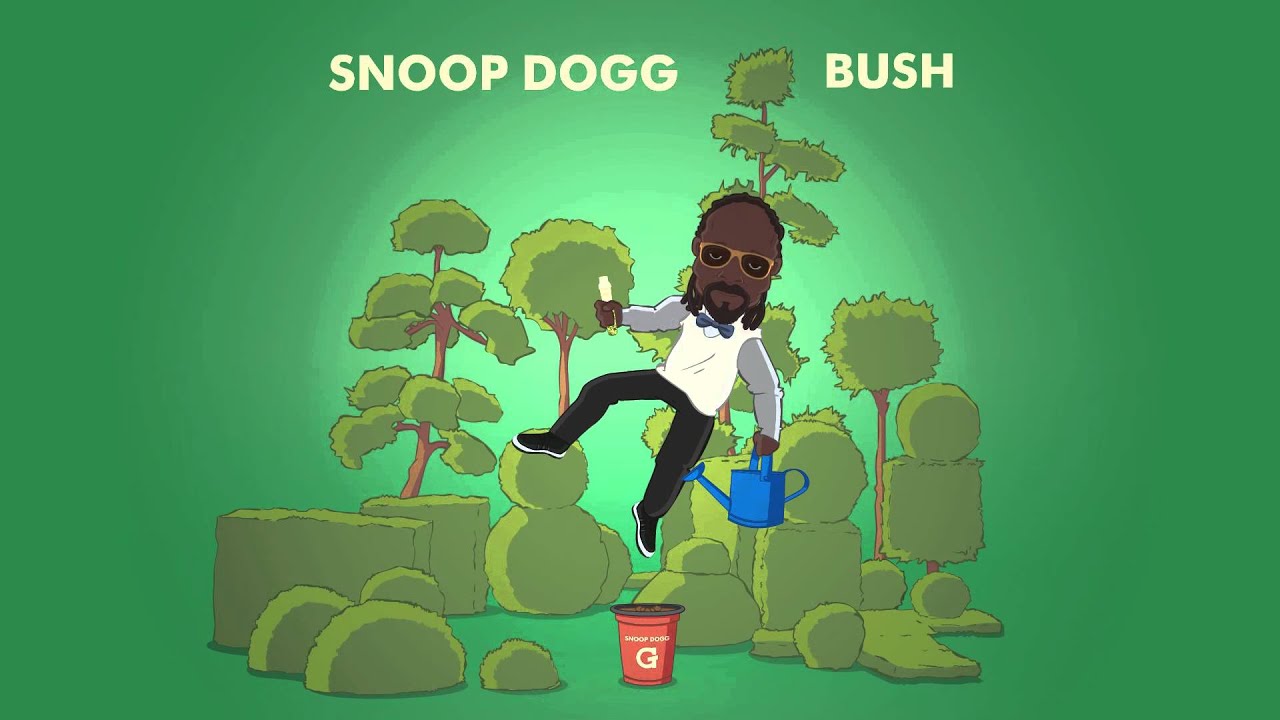 Snoop Dogg x GPen - BUSH G Pro Vaporizer