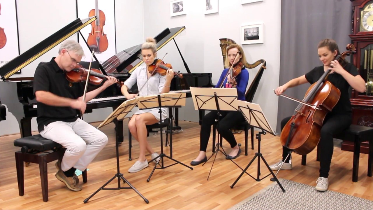 Sartory Quartet on Jay Haide instruments | 'Sailors' Song' (Grieg)