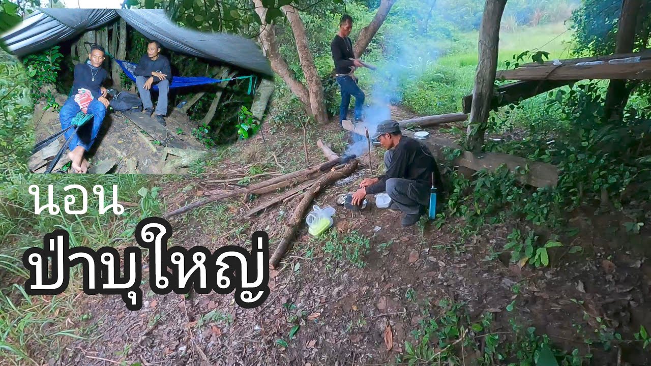 นอนปลวกข่อยกลางป่าบุใหญ่กับเด่น1คืน #ผจญภัยในป่า #ป่าชายแดน