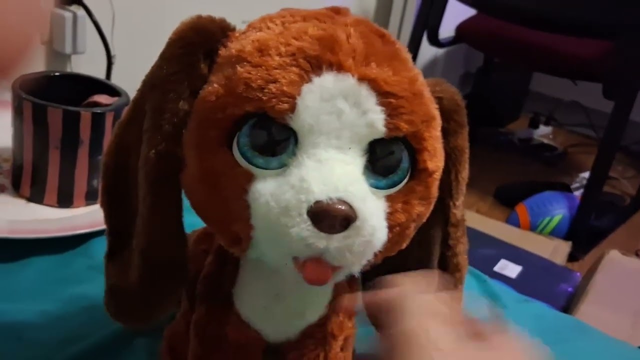 Sparky (Test_01) [Failed]