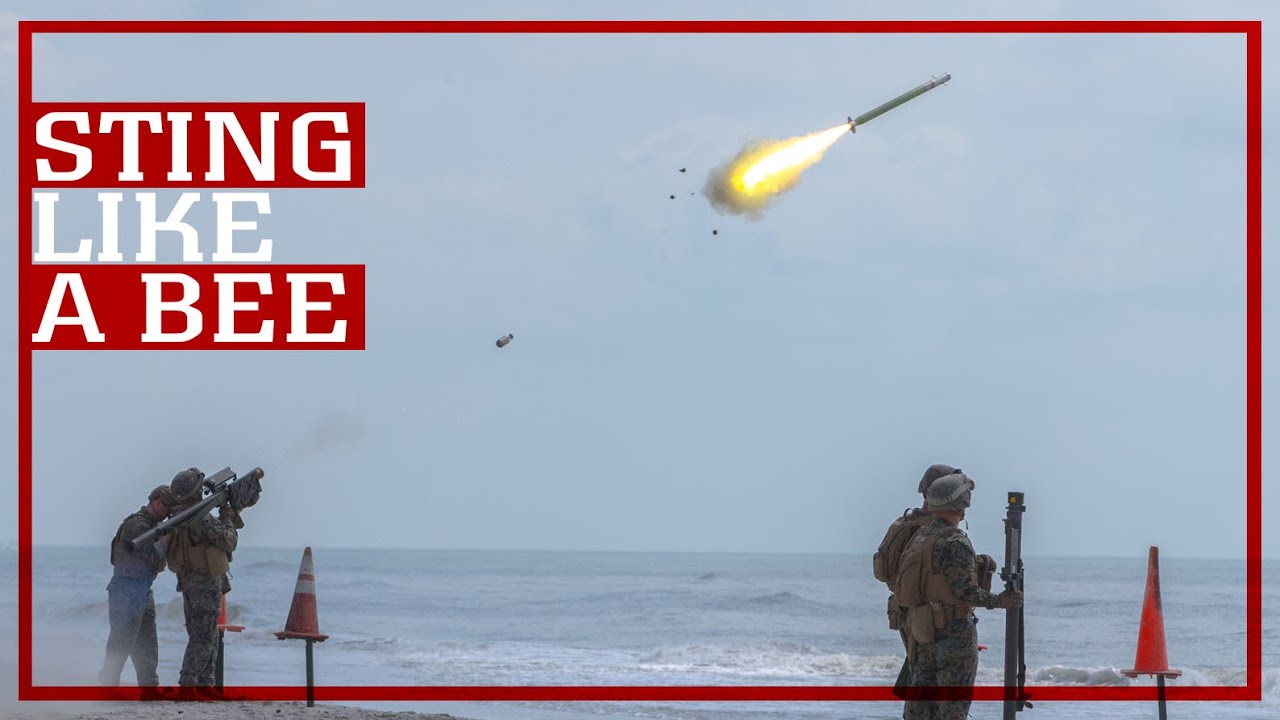How Marines Protect Against Threats from the Sky | LAAD Explained